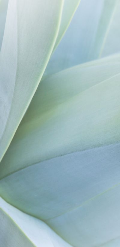 Landing Page Background Image